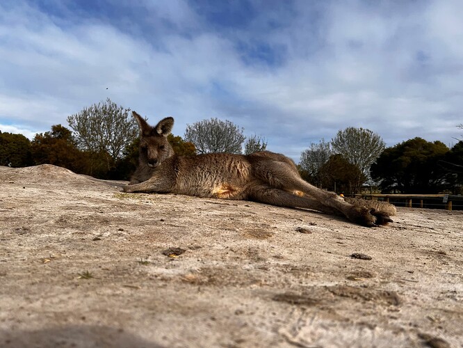 z7043352305112_537a1243c86a533285b2ece4959ea341