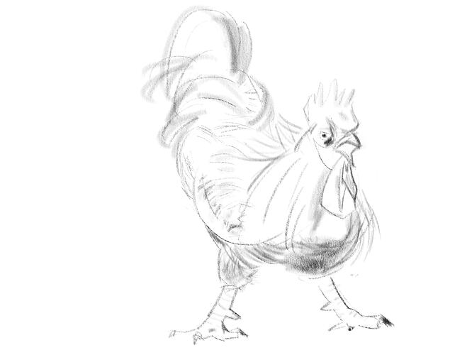 chicken