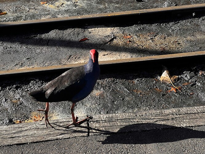 z7043352291254_cb73f22c3bbbe6149311cf2f504bb7eb