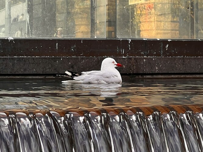 z7043352289905_0d09dc29c333e2f117b238f57ea57da0