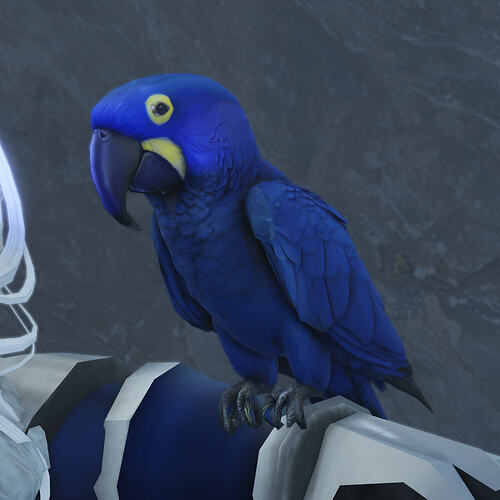 AO_ViscereineSapphire-009