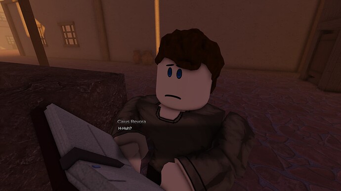 RobloxScreenShot20250113_150703134