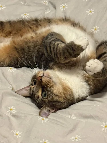 F3051557-B509-4535-95A5-A105C47FEC3A