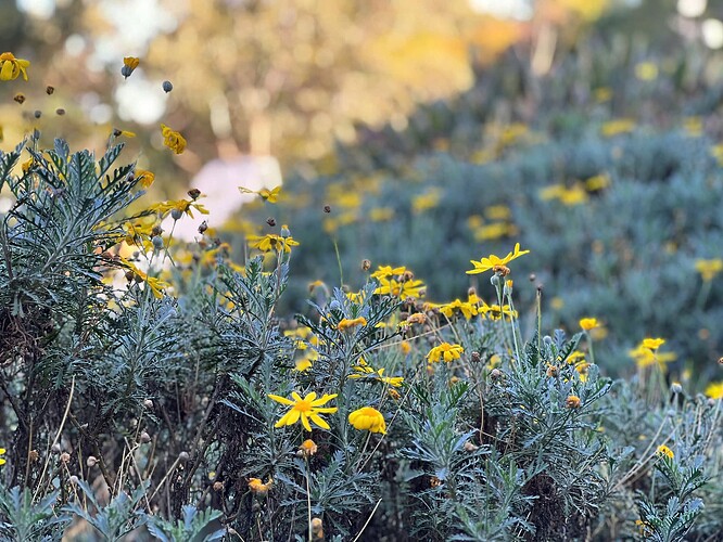 z7043352264945_b5abf6cd0cca7273899827de627826e5