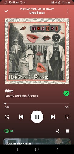 Screenshot_20250629-215025_Spotify