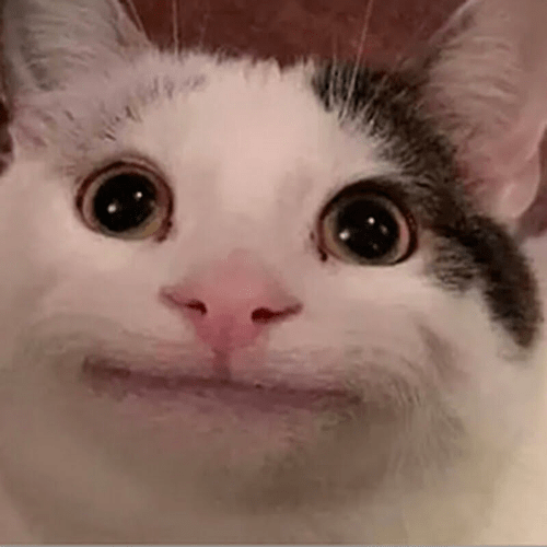 Beluga_d