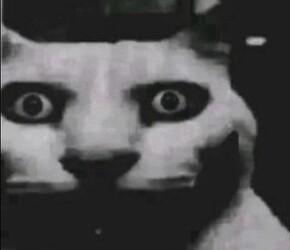 that face i make when there's no salt in the nfrench fries