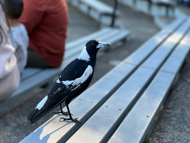 z7043352252675_5eb36611a7901c2899661fa946e32633