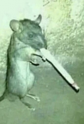 mousesmoking