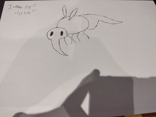 IMG_20251011_165156_HDR