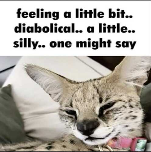 WhatsApp Image 2025-09-09 at 15.41.14_4d199648