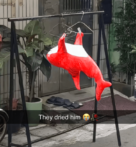 stupid ass white eyes