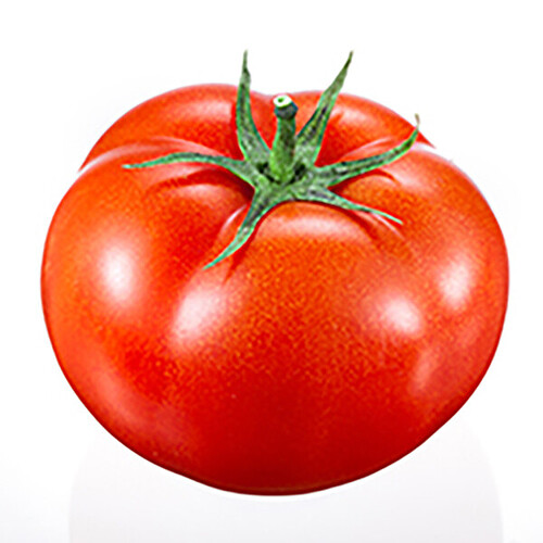 tomatocool