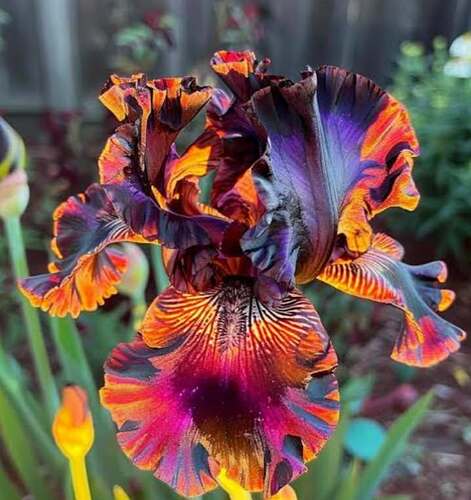 Messenger_creation_1252396053167254