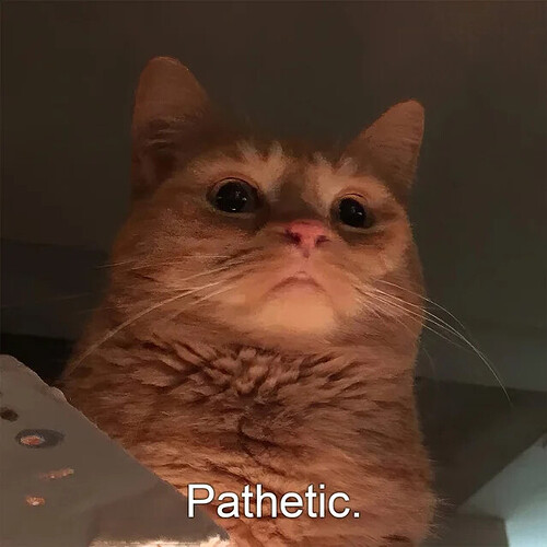 17465266876678329398817538612433
