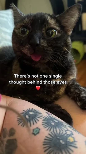 static-assets-upload17945034145509343039