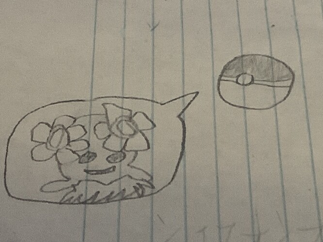 Soakaia