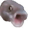:poggers2: :poggers2: