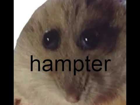 hampt