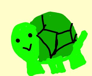 derpy turtle