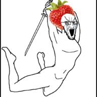 strawberry warriorjak