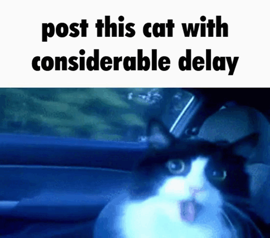 delay-cat