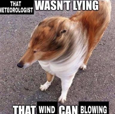 wind