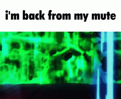 mute-im-back-from-my-mute