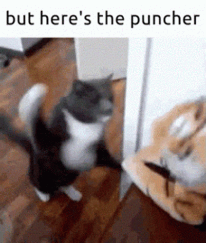 but-heres