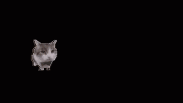 youtube-video-gif