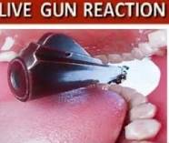 live gun reaction