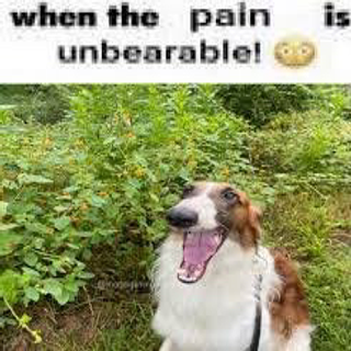 when_the_pain_is_unbearable