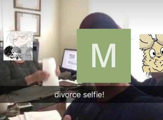 divorce-selfie-v0-c3lj4kashnqd1