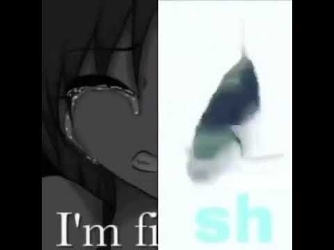 I'mFish