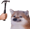 horny_doge