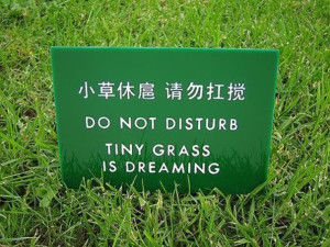 chinese fail translation