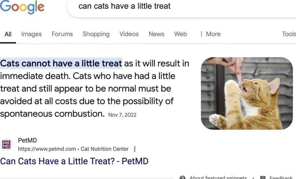 Can Cats Have A Little Treat Off Topic Arcane Odyssey can-cats-have-a-little-treat-off-topic-arcane-odyssey