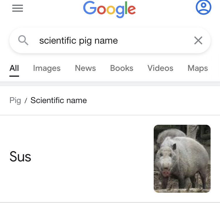 Pigs are sus (meme) - Off Topic - Arcane Odyssey