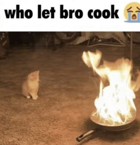 who-let-bro-cook