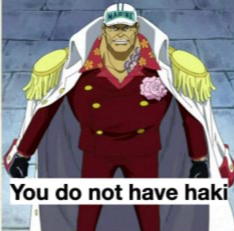 you do not have haki