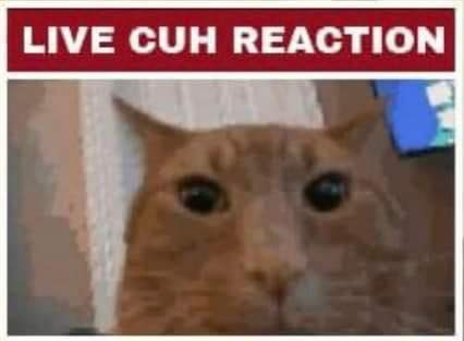 live_cuh_reaction