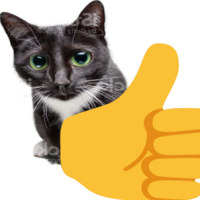 9578-thumbs-up-cat