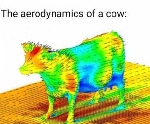 Aerodynamics of a cow
