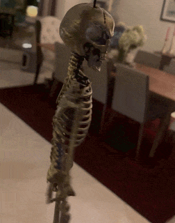 skeleton spin