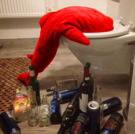 dumb stupid fucking stupid ass white eyes