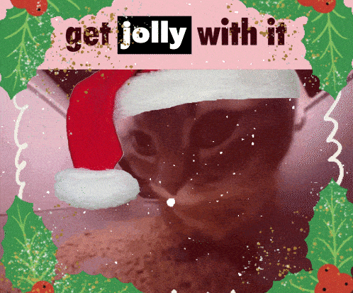 jiggy-jolly
