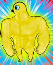 buffduck