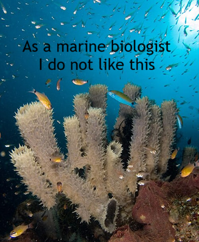 AsAMarineBiologist