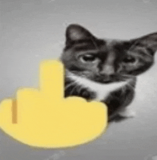 cat-middle-finger-1453260891
