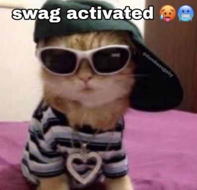 swag_cat